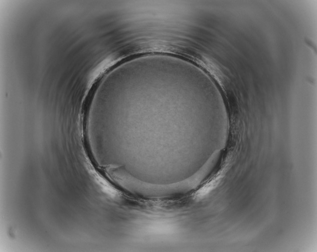 X0000098040987200803281428