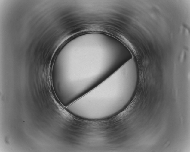 X0000098040988200803281428