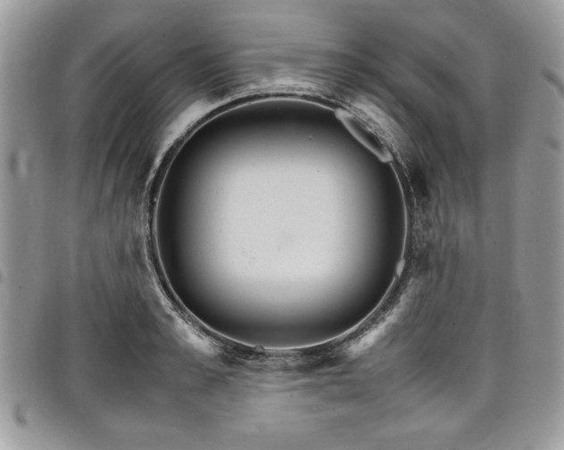X0000098040989200803281428