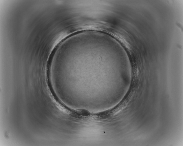 X0000098040991200803281428