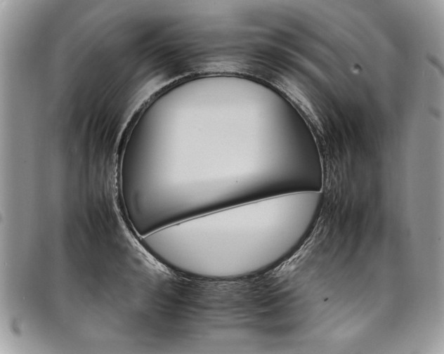 X0000098040992200803281428