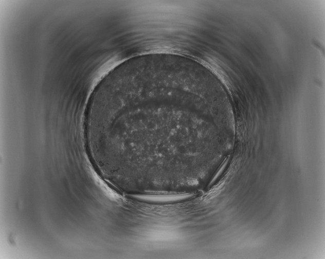 X0000098040995200803281427