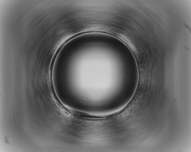 X0000098040996200803281427