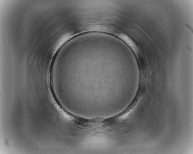 X0000098040999200803281427