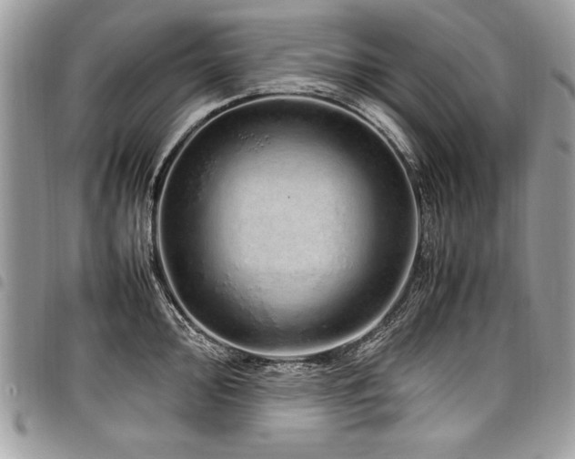 X0000098041000200803281427