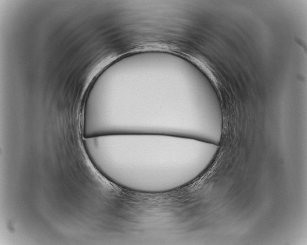 X0000098041003200803281427