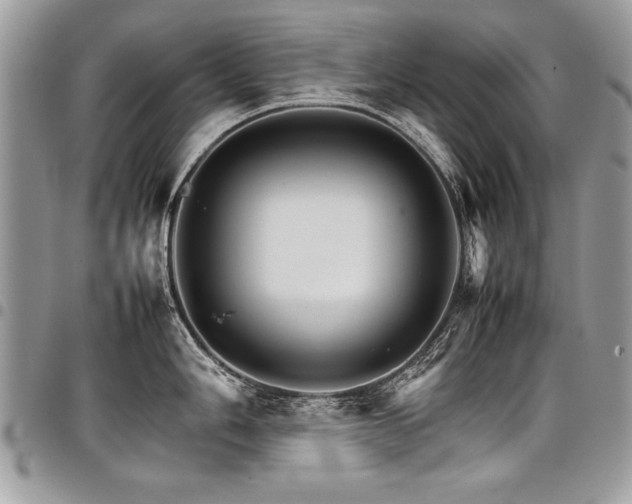 X0000098041006200803281427