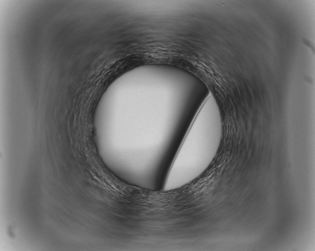 X0000098041009200803281427