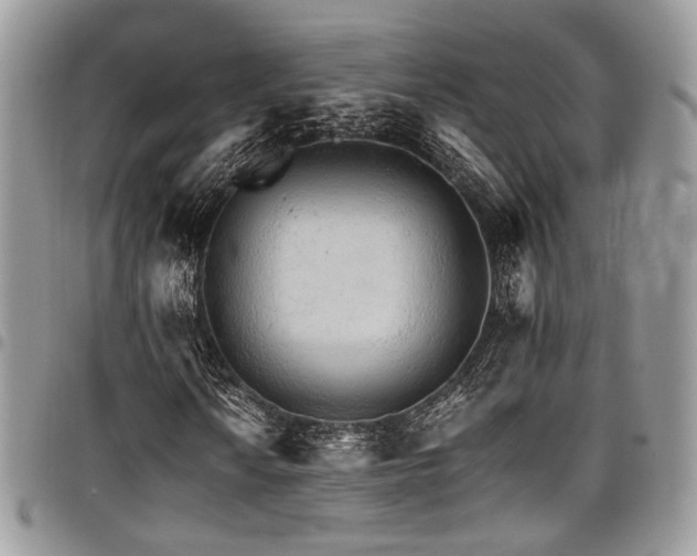 X0000098041010200803281427