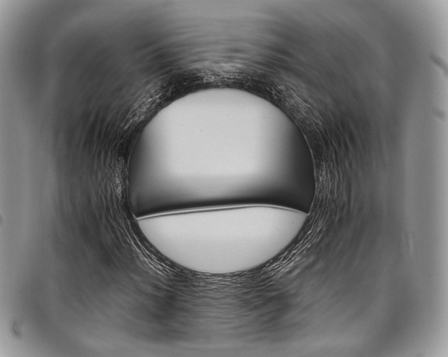 X0000098041012200803281427