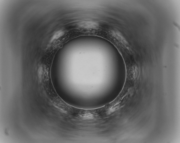 X0000098041013200803281427
