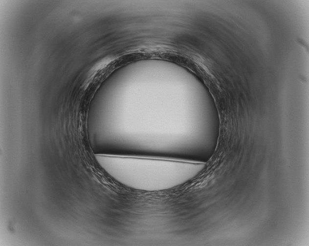 X0000098041016200803281427