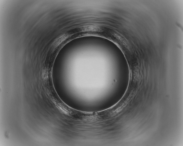 X0000098041017200803281427