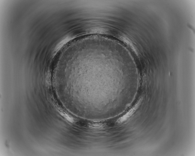 X0000098041019200803281427