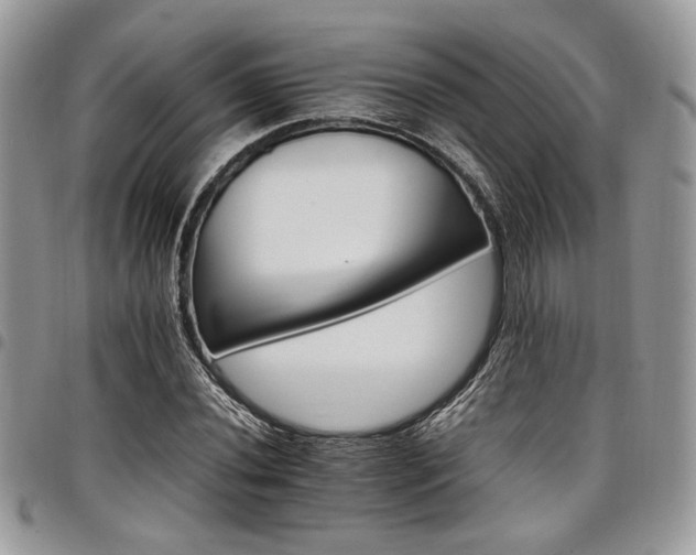 X0000098041020200803281427