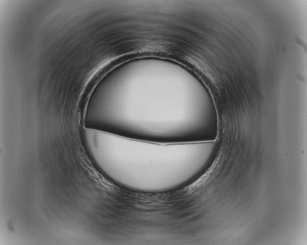 X0000098041021200803281427
