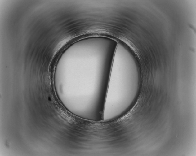 X0000098041022200803281427