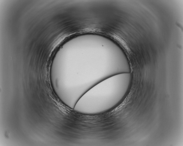X0000098041023200803281427