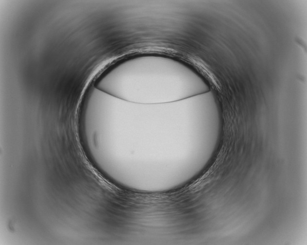 X0000098041024200803281427