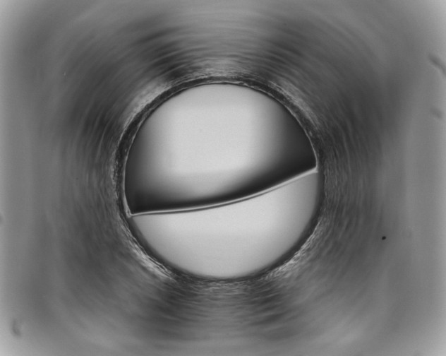 X0000098041026200803281427