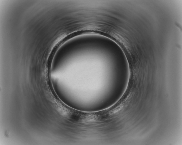 X0000098041029200803281427