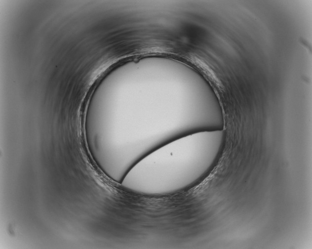X0000098041031200803281427