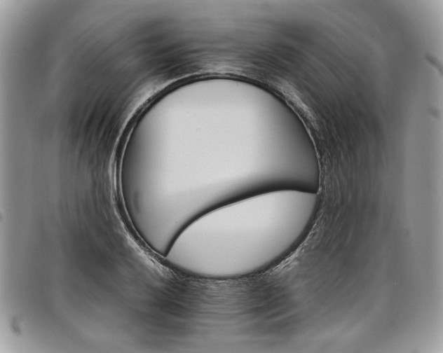 X0000098041032200803281427
