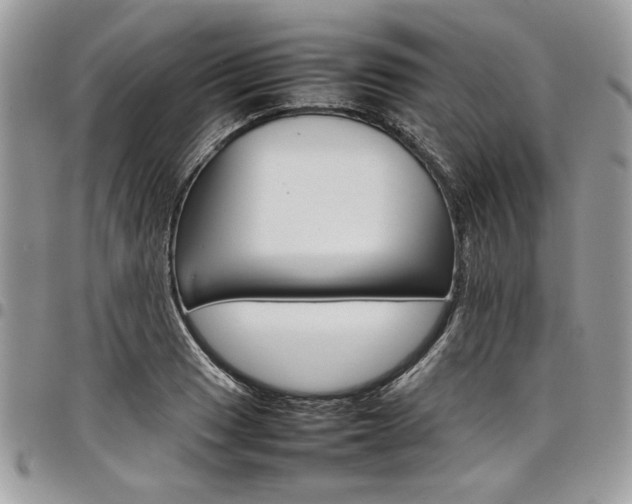 X0000098041033200803281427