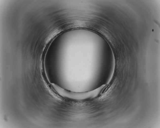 X0000098041034200803281427