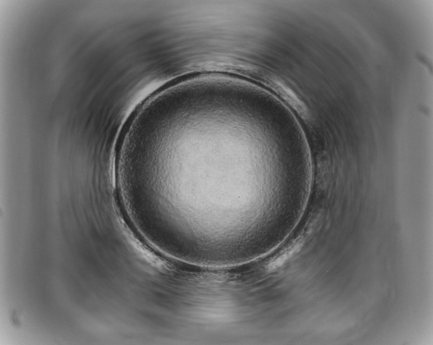 X0000098041036200803281427