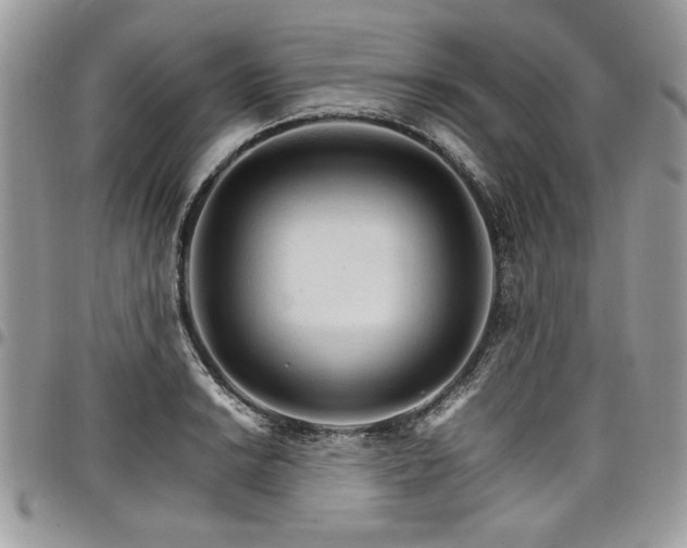 X0000098041038200803281427