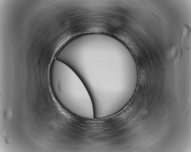 X0000098041039200803281427