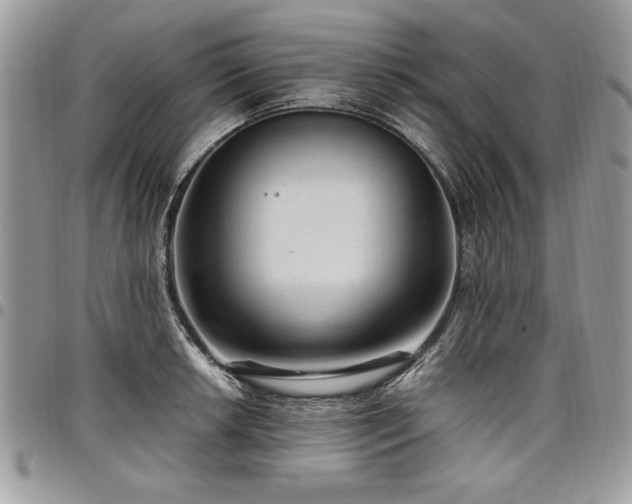 X0000098041042200803281427