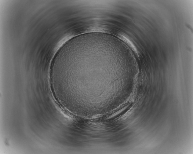 X0000098041043200803281427