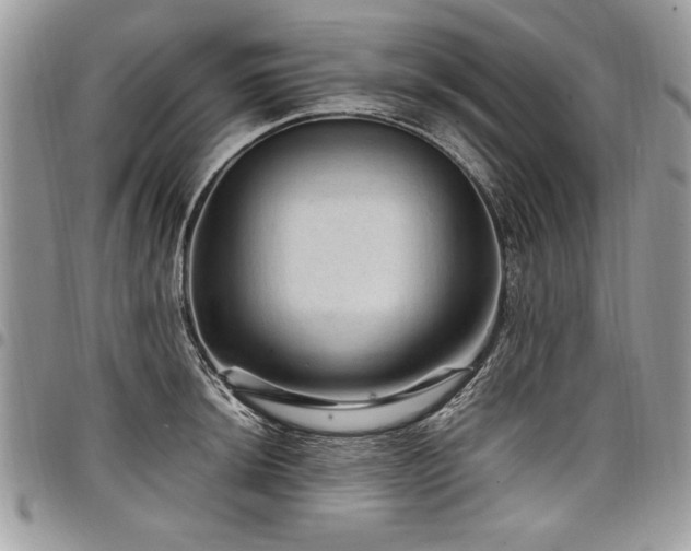 X0000098041044200803281427
