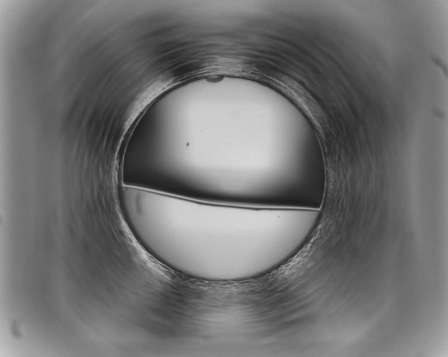 X0000098041050200803281427