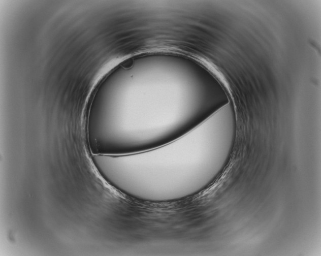 X0000098041053200803281427