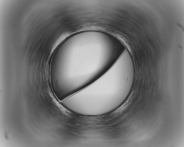X0000098041054200803281427