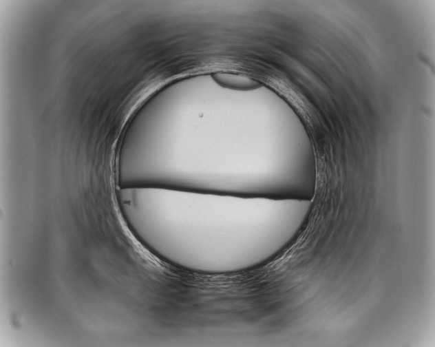 X0000098041055200803281427