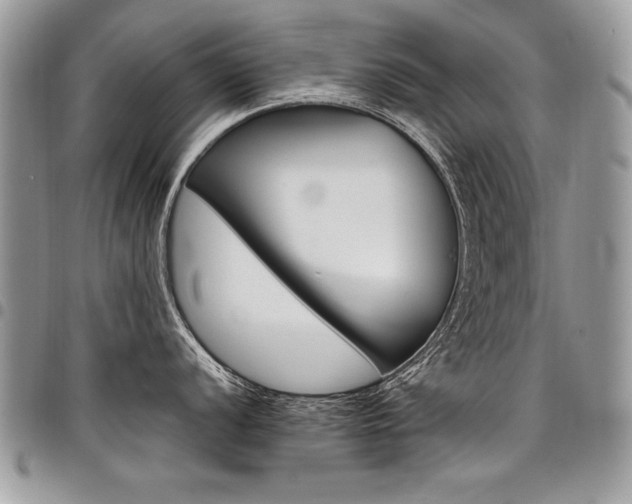 X0000098041056200803281427