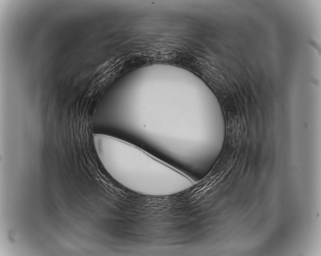 X0000098041058200803281427