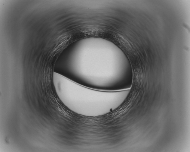 X0000098041060200803281427