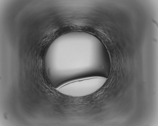 X0000098041061200803281427
