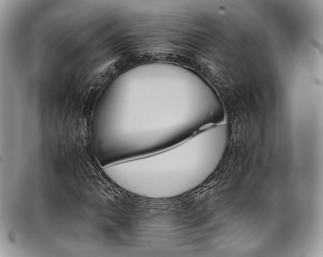 X0000098041062200803281427