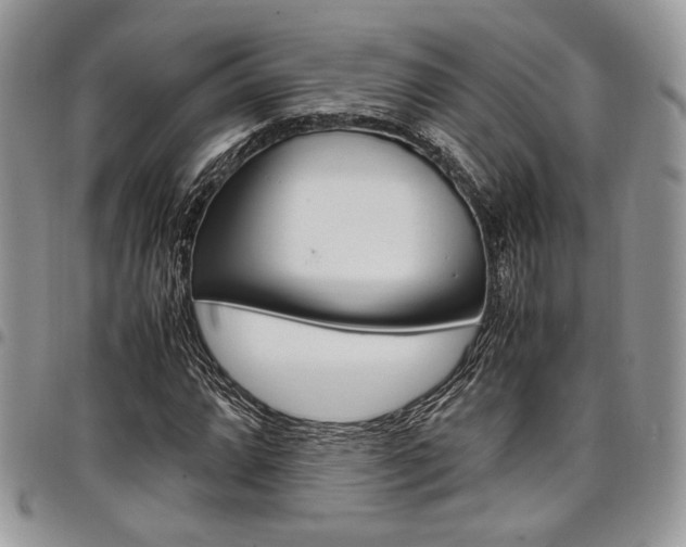 X0000098041064200803281427