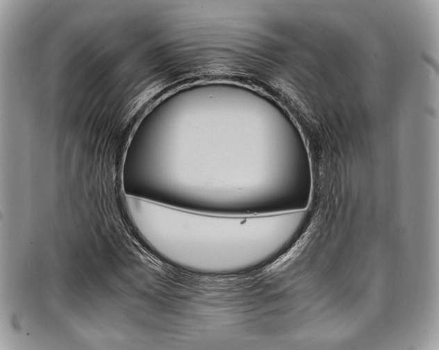 X0000098041065200803281426