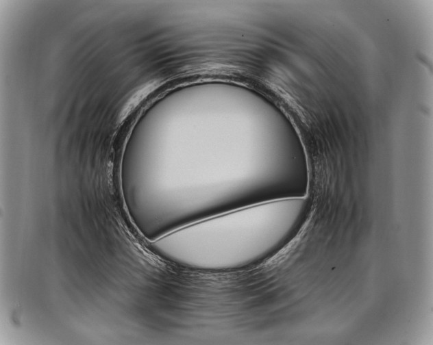 X0000098041066200803281426