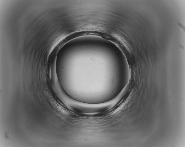 X0000098041069200803281426