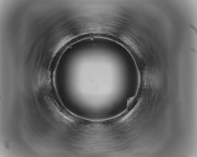 X0000098041070200803281426