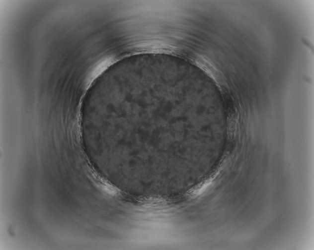 X0000098041071200803281426